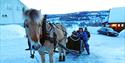 sleigh ride with Gautefall Event
