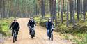 3 personer på sykkeltur gjennom skogen i Drangedal