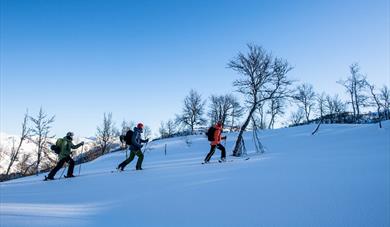 skitur på Raulandsfjell