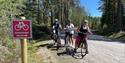 group of cyclists cycling on the cultural round trip in Drangedal