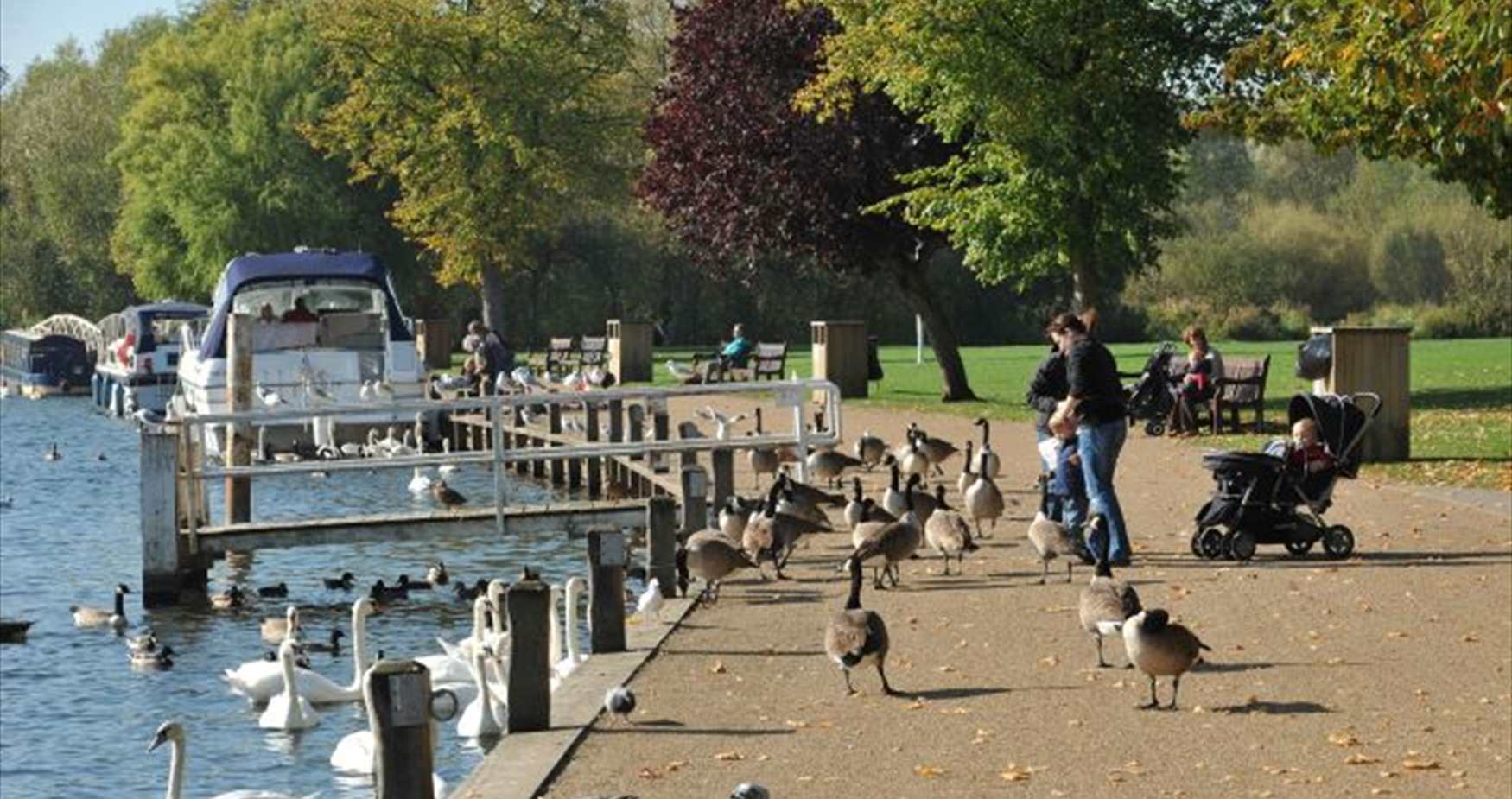 The Thames Path and Higginson Park at Marlow