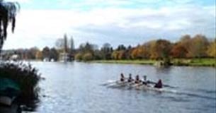 Henley Fours and Eights