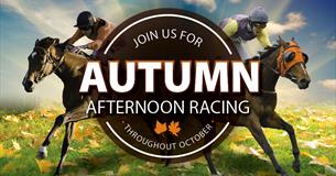 Autumn Afternoon Racing