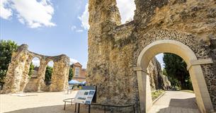 Reading Abbey Ruins