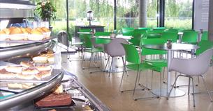 Terrace Cafe, River & Rowing Museum, Henley on Thames