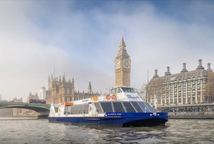 City cruises boat on the Thames in front of Westminster