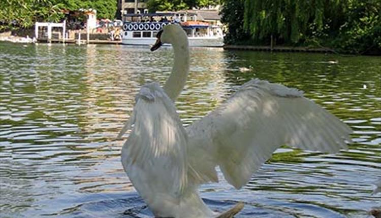 Bird & Wildlife cruise with French Brothers Boats