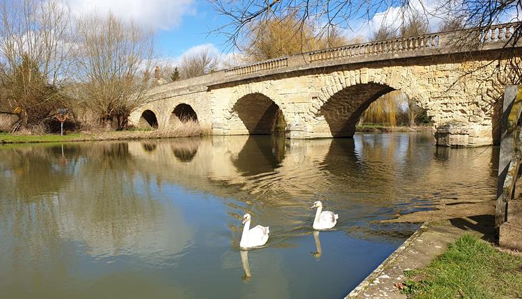 Swinford Bridge with Swans