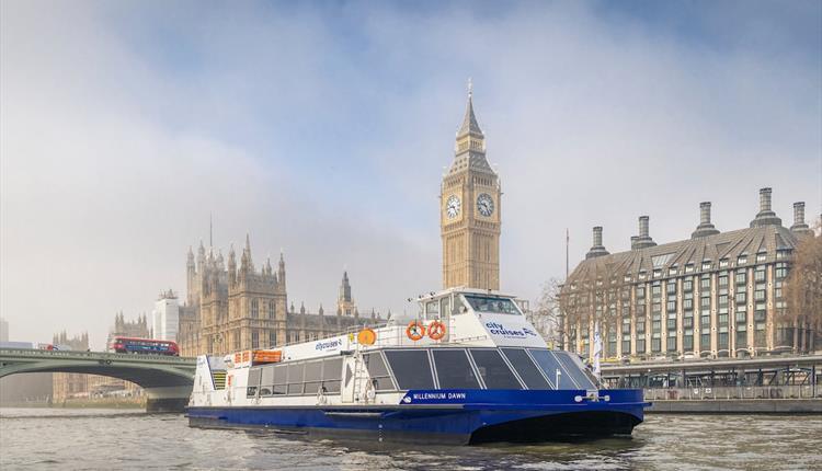 City cruises boat on the Thames in front of Westminster