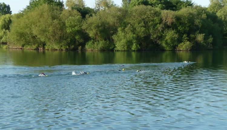 Bray Lake Open Water Swim Challenge