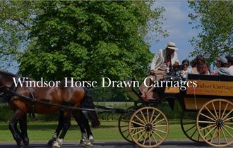 Windsor Horse Drawn Carriages