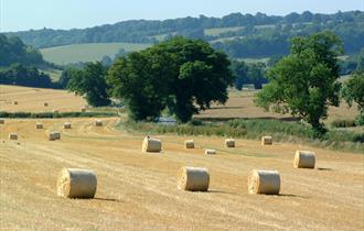 Rolling countryside, South Oxfordshire