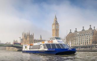 City cruises boat on the Thames in front of Westminster