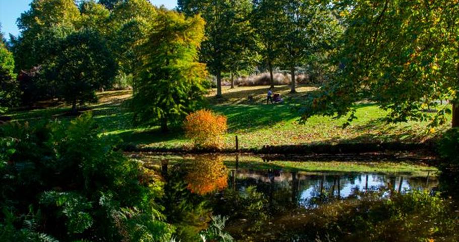 Autumn in the Savill Garden, Near Windsor