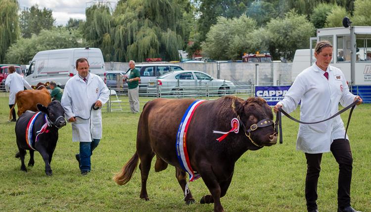 Chertsey Show