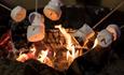 Toasting marshmallows at Ascot Racecourse: Fireworks Spectacular Family Raceday