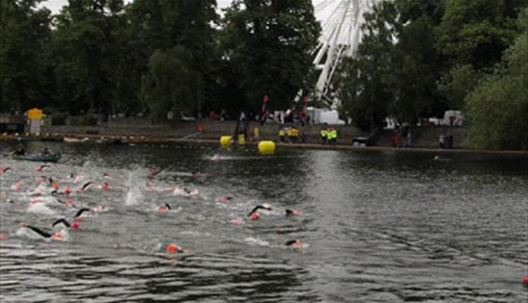 The BIG South Swim