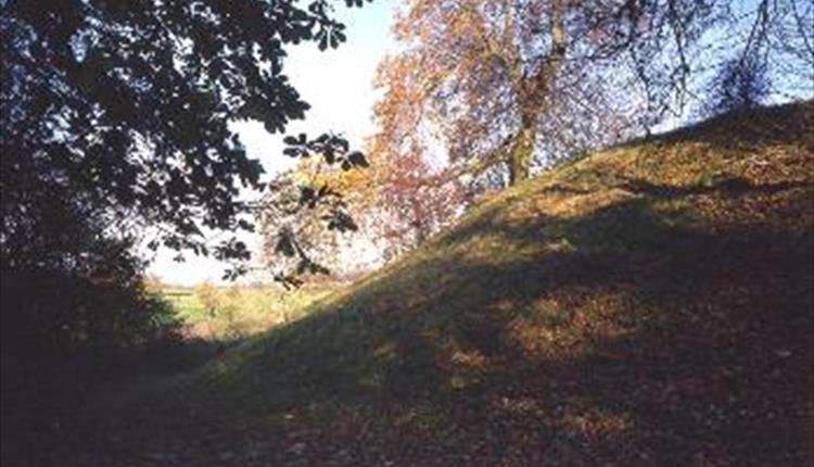 Deddington Castle site