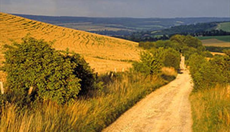 Exploring the Goring Gap on the Ridgeway & Thames Path