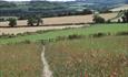 The Chilterns - Area of Outstanding Natural Beauty