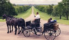 Windsor Carriages and the view down the Long Walk towards Windsor Castle