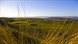Wallasey Golf Club