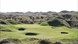Picture of Royal Birkdale Course