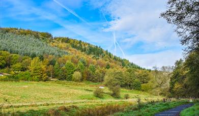 dalby forest