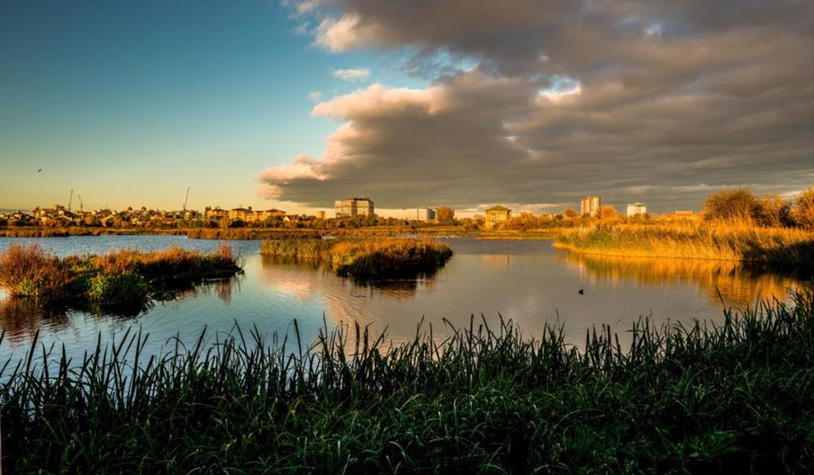 Calm lake reflecting a mix of blue sky and dark clouds at sunset, surrounded by reeds. Distant buildings under a warm, golden light evoke serenity.