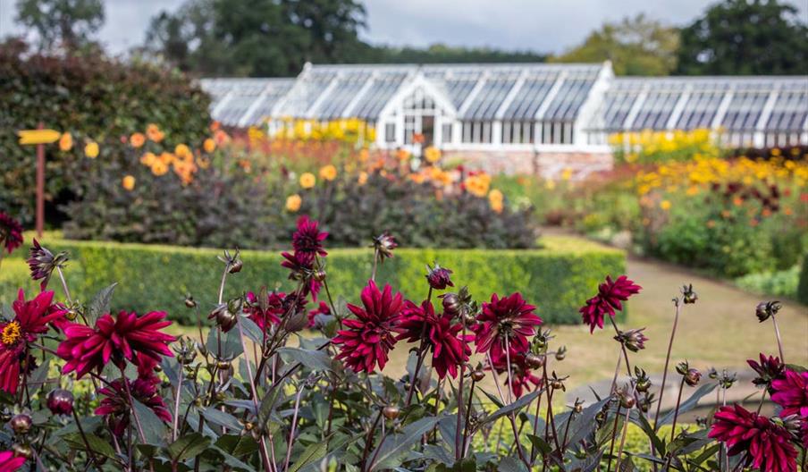 Flowers at Helmsley Walled Gardens with botanical house in the background