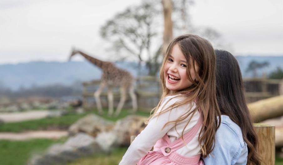 A child looking at giraffes at West Midlands Safari Park