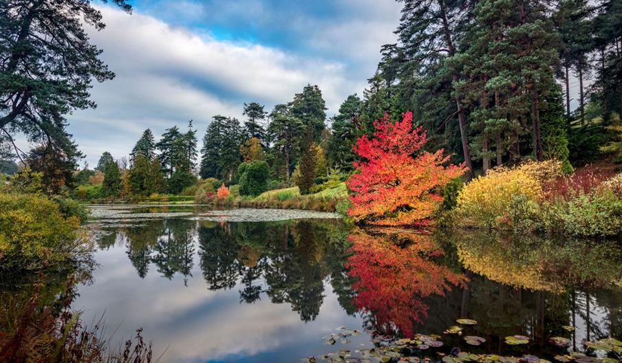 A lake and trees at Bedgebury National Pinetum and Forest