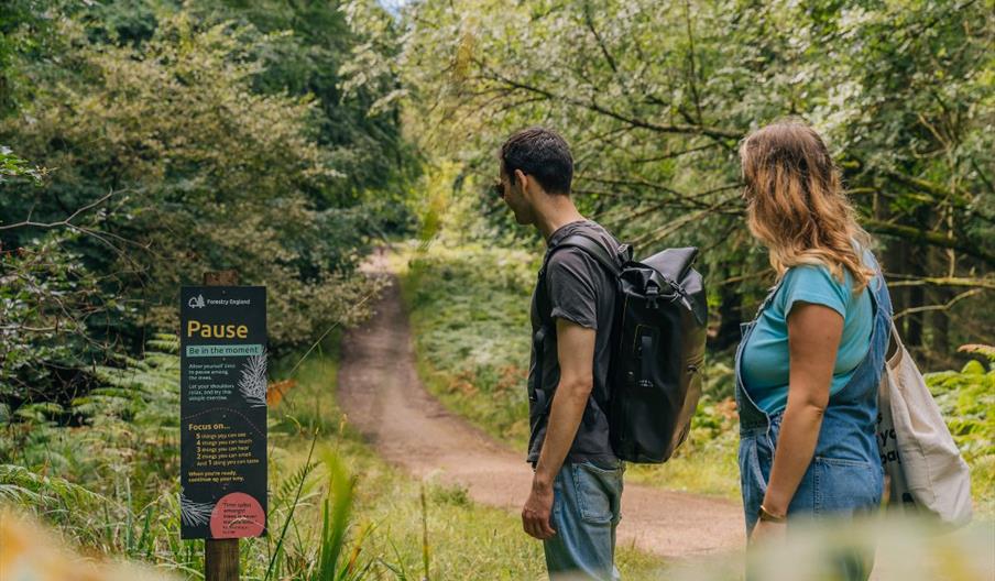 A couple at Symonds Yat Rock looking at a sign in the forest