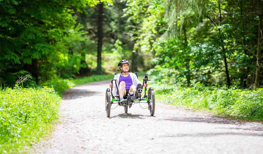 person riding accessible bike at Dalby Forest