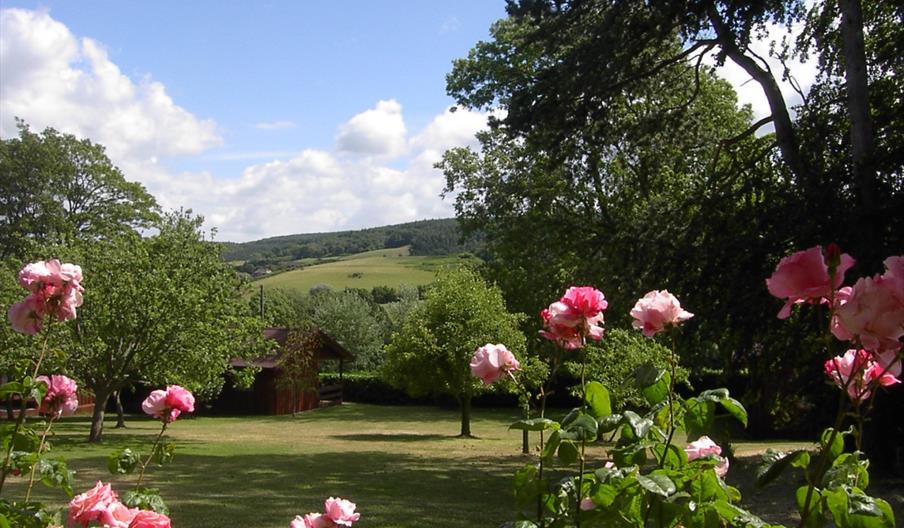 woodcombe cottages garden