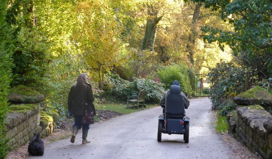 Couple exploring Batsford Arboretum & Garden Centre one in a wheelchair and one walking with a dog