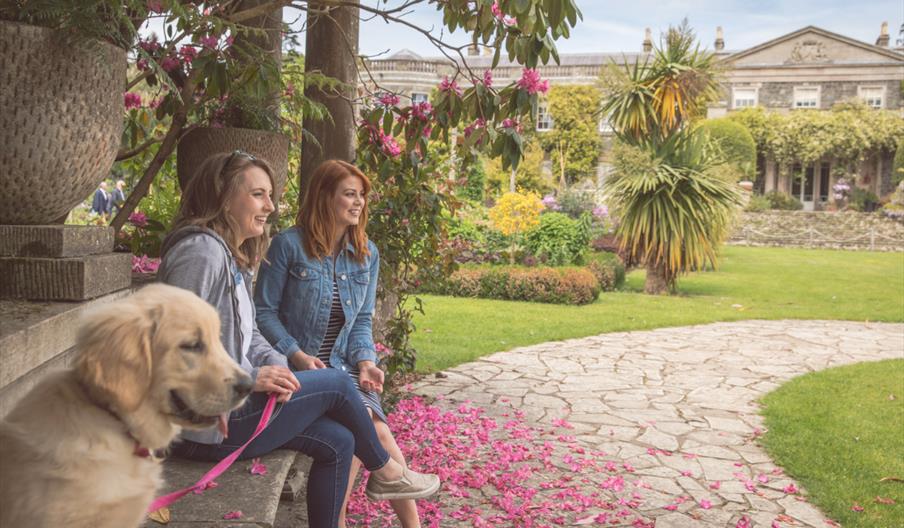 Two people sat with their dog in the gardens at Mount Stewart – National Trust ©National Trust Images/Christopher Heaney