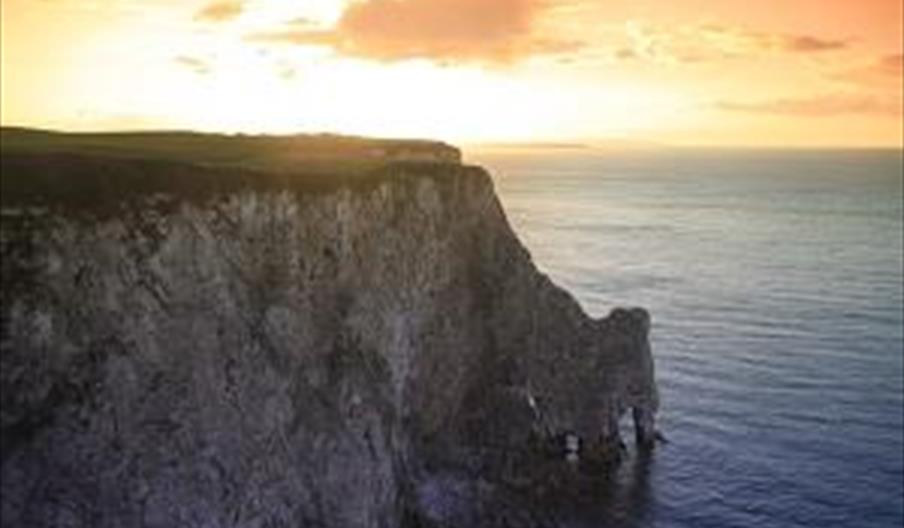 can you take dogs to bempton cliffs