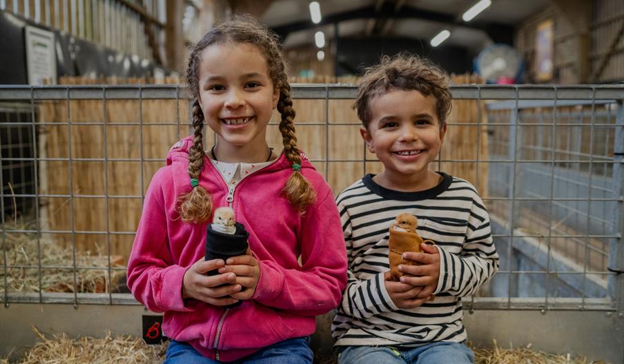 Children with chicks