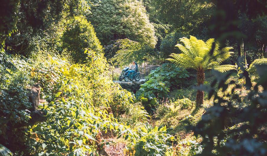 Batsford Arboretum & Garden Centre