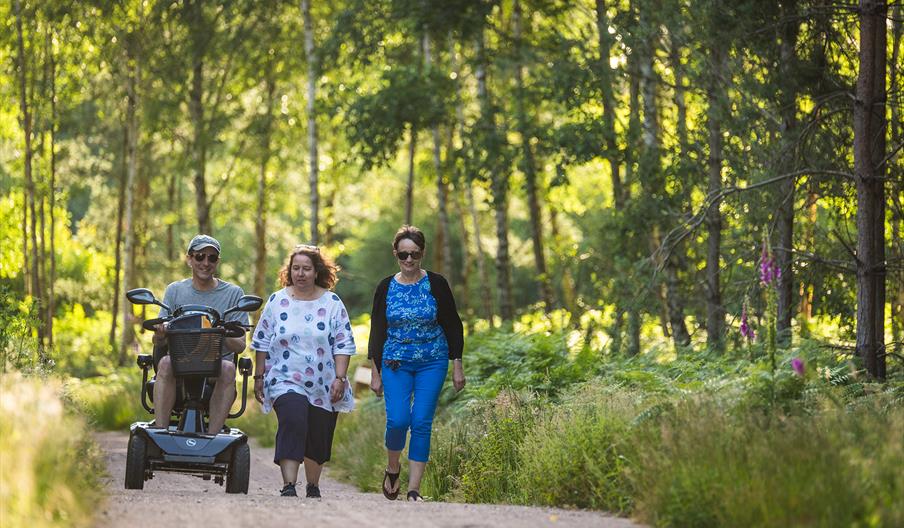 Three people enjoy a sunny walk through a lush forest. Two women walk side by side while a man rides a mobility scooter, all looking content.