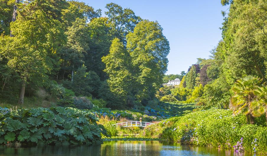Lush garden scene with a white bridge over a pond, surrounded by vibrant greenery. A house peeks through dense trees under a clear blue sky. Peaceful
