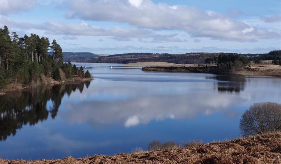 Lake area at Calvert Kielder
