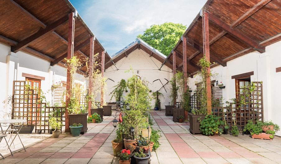 Hall Farm Cottage Courtyard with lots of plants and the sun is shinning