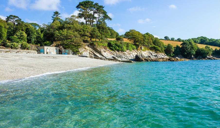 Rocky coastline with clear turquoise water on a sunny day. Lush green trees line the shore, meeting grassy hills under a bright blue sky. Calm and ser