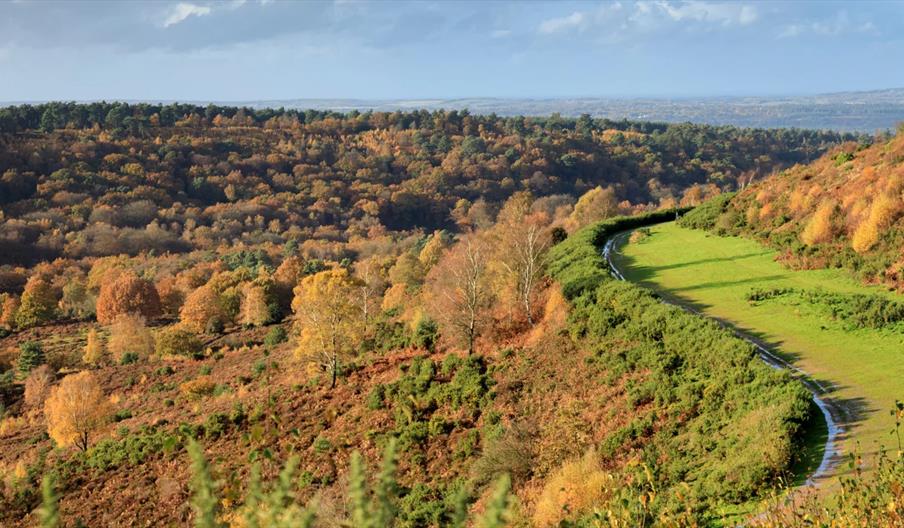 National Trust Hindhead Commons and The Devil’s Punchbowl