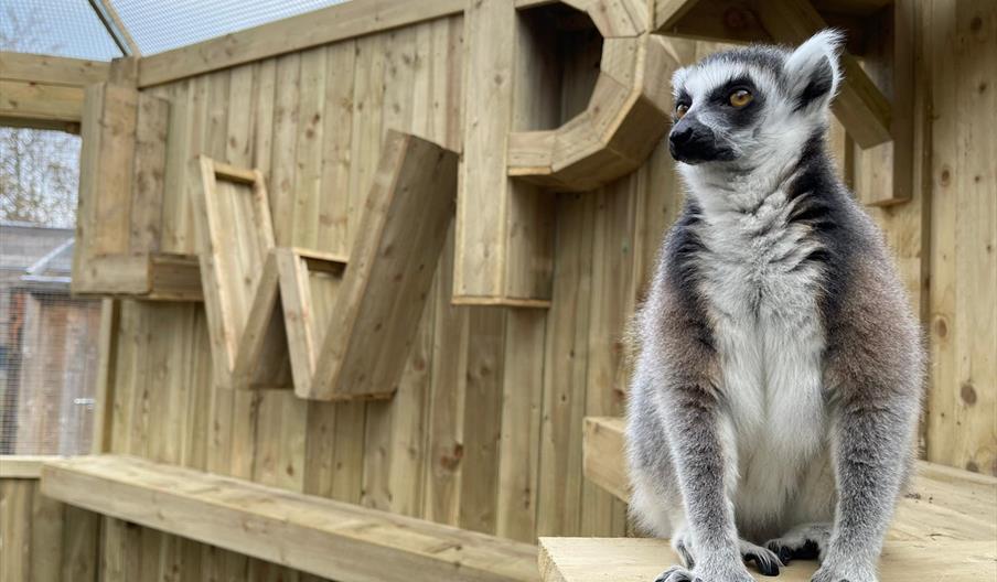 Lincolnshire Wildlife Park
