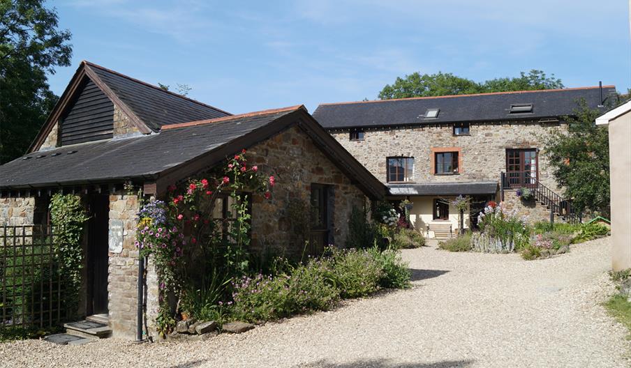 Driveway up the cottages at North Hayne Farm Cottages