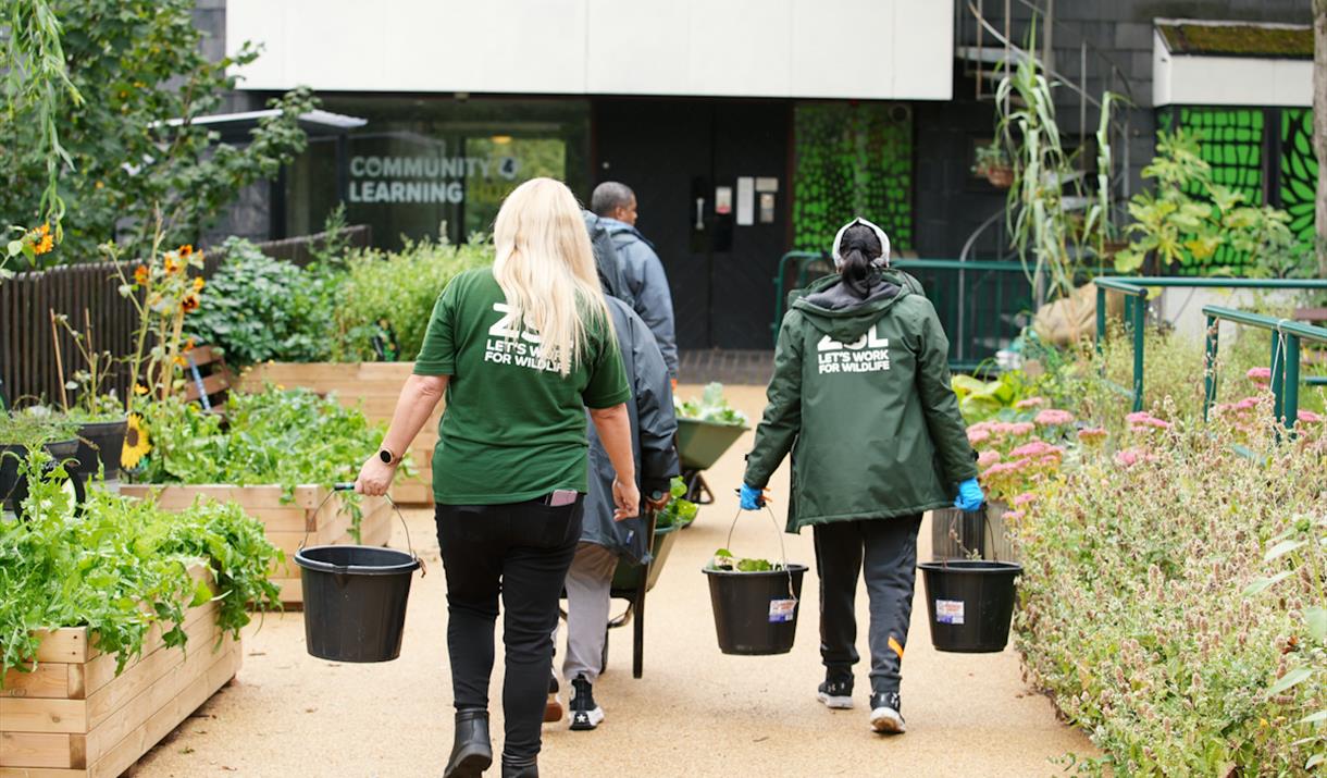 Staff & Mind Gardening Group participants carrying buckets in the Community Garden at London Zoo