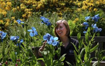 RHS Garden Harlow Carr